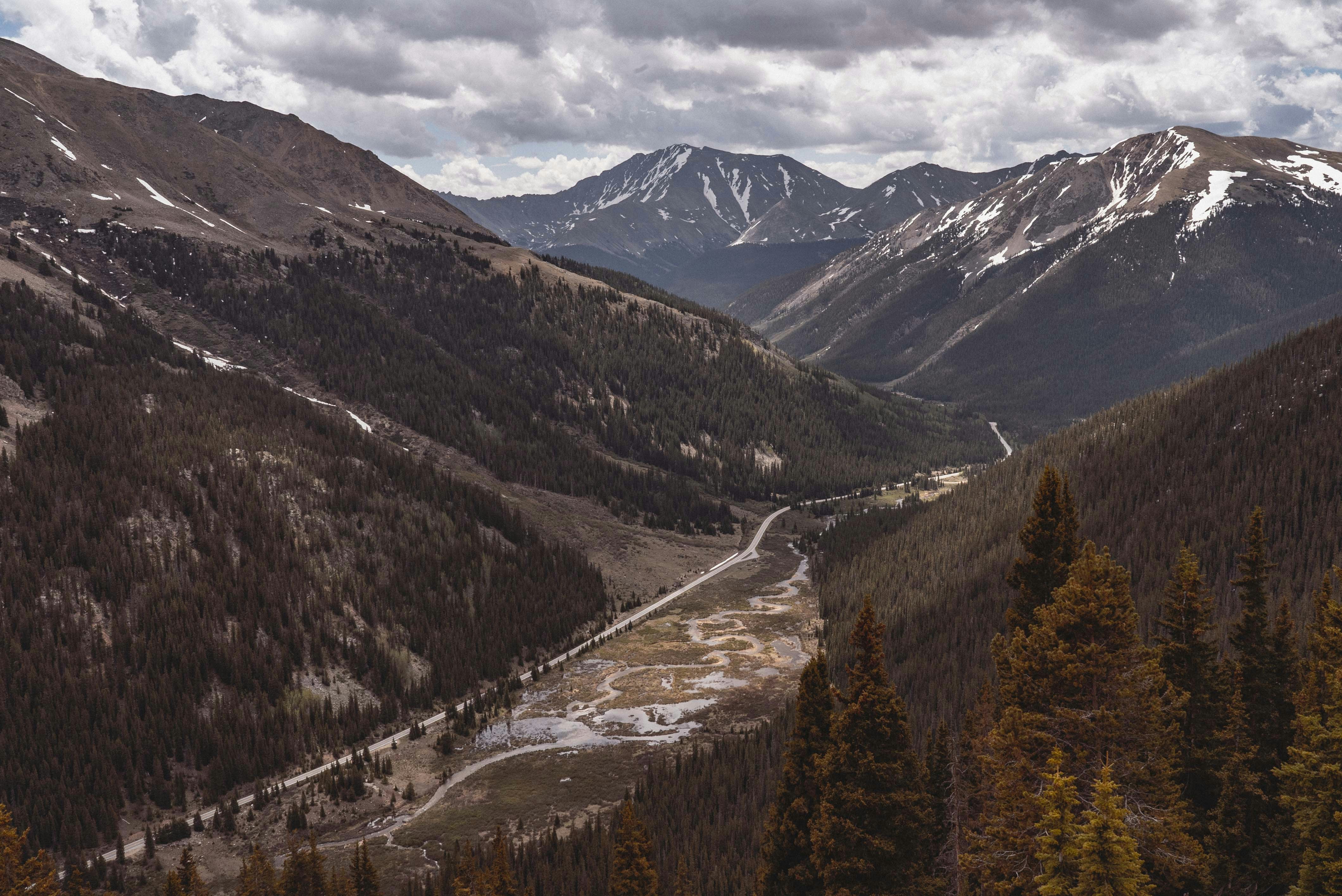 green trees on mountain during daytime